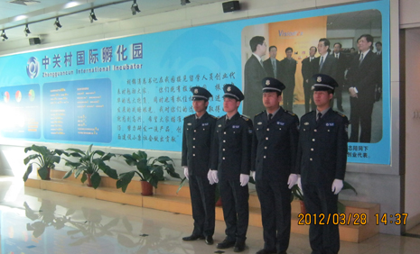 案例展示